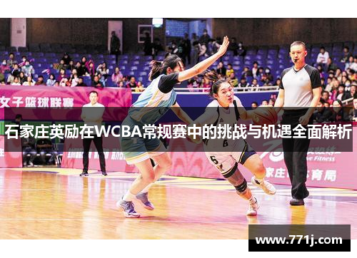 石家庄英励在WCBA常规赛中的挑战与机遇全面解析