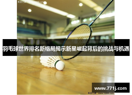 羽毛球世界排名新格局揭示新星崛起背后的挑战与机遇